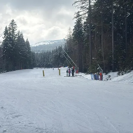 Zloty Widok Gorna 19 *