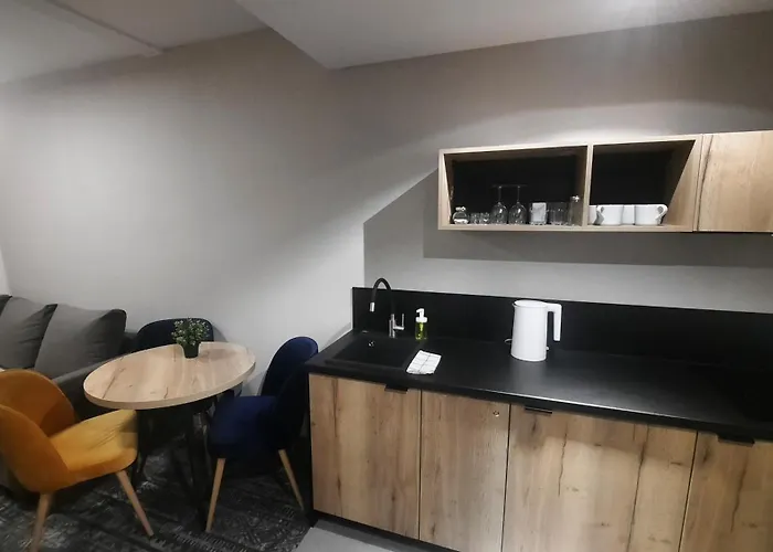 Zloty Horyzont 公寓 *